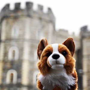 Windsor Castle with Corgie - Travel Better Together with iNSIDE EUROPE