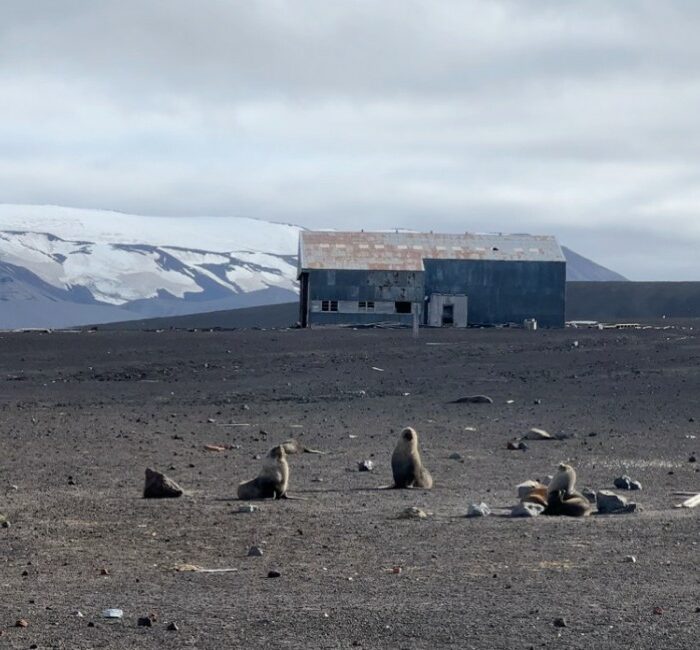 Postcard from Antarctica: First landing at Whaler’s Bay, Deception Island