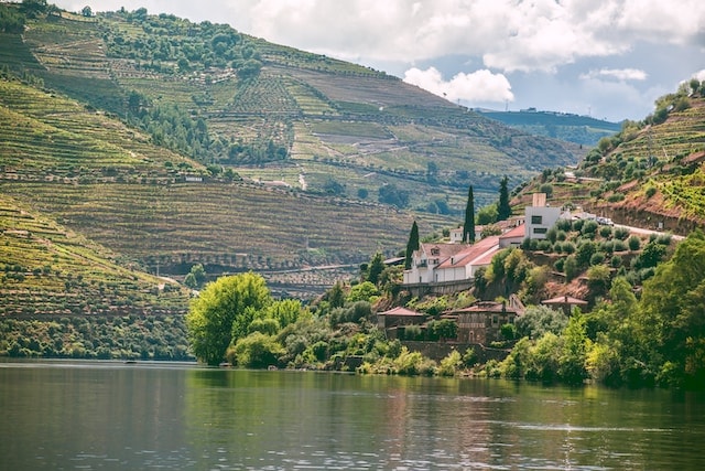 Postcard from Portugal: Quinta De La Rosa on the Douro
